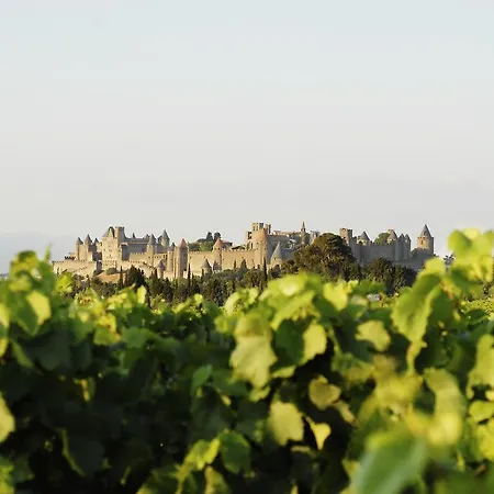 La Maison D'alix, A L'interieur De La Cite Medievale! Apartman *