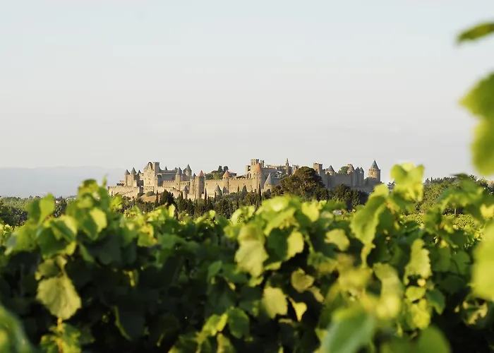 La Maison D'alix, A L'interieur De La Cite Medievale! Apartment *