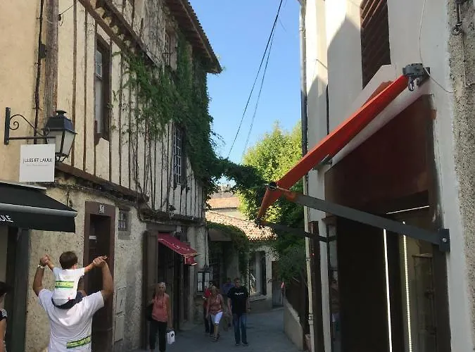 La Maison D'alix, A L'interieur De La Cite Medievale! Apartment *