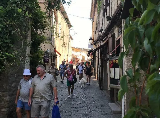 La Maison D'alix, A L'interieur De La Cite Medievale!